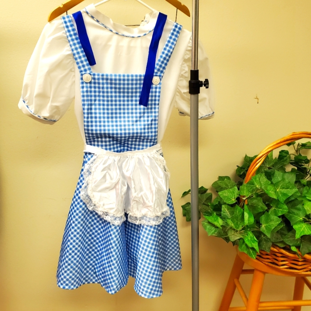 Wizard Of Oz Dorothy Halloween Costume